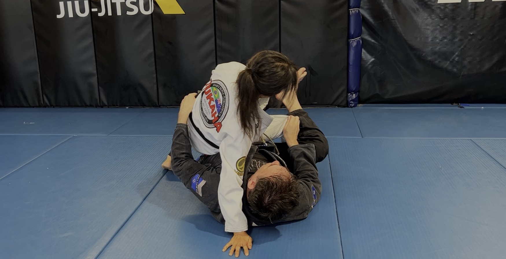 VR Jiu-Jitsu Online Video