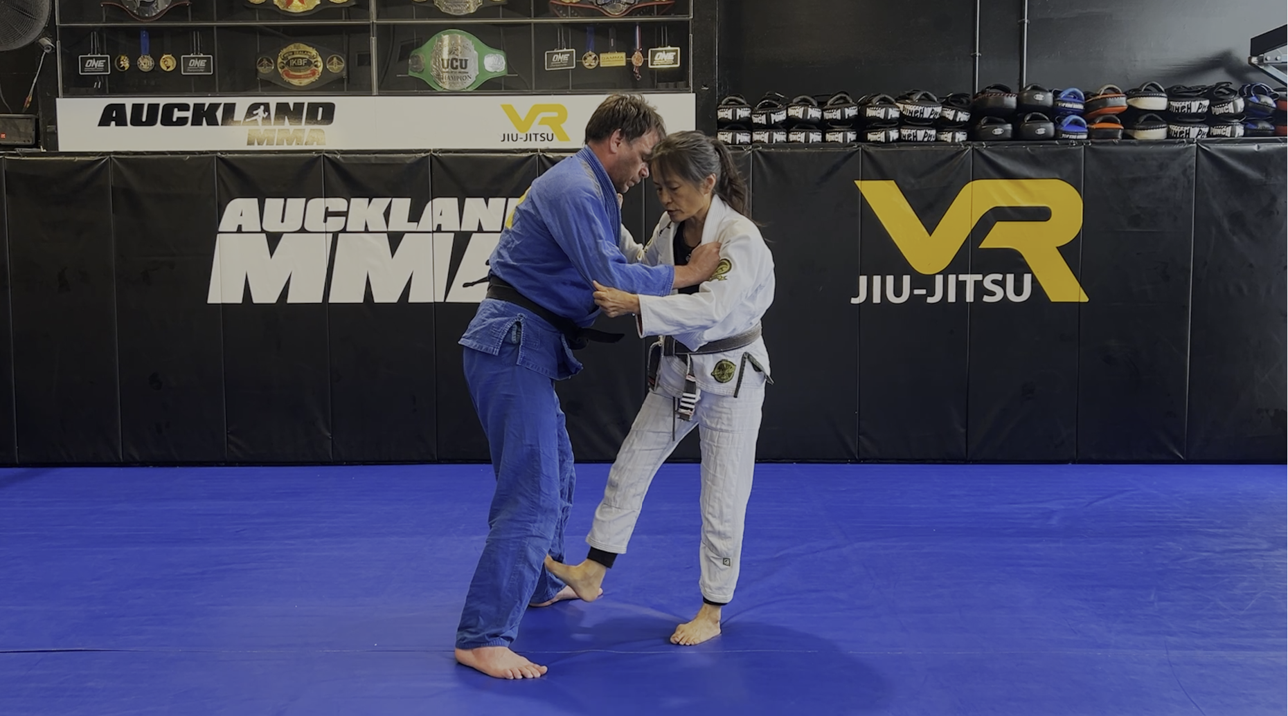 VR Jiu-Jitsu Online Video