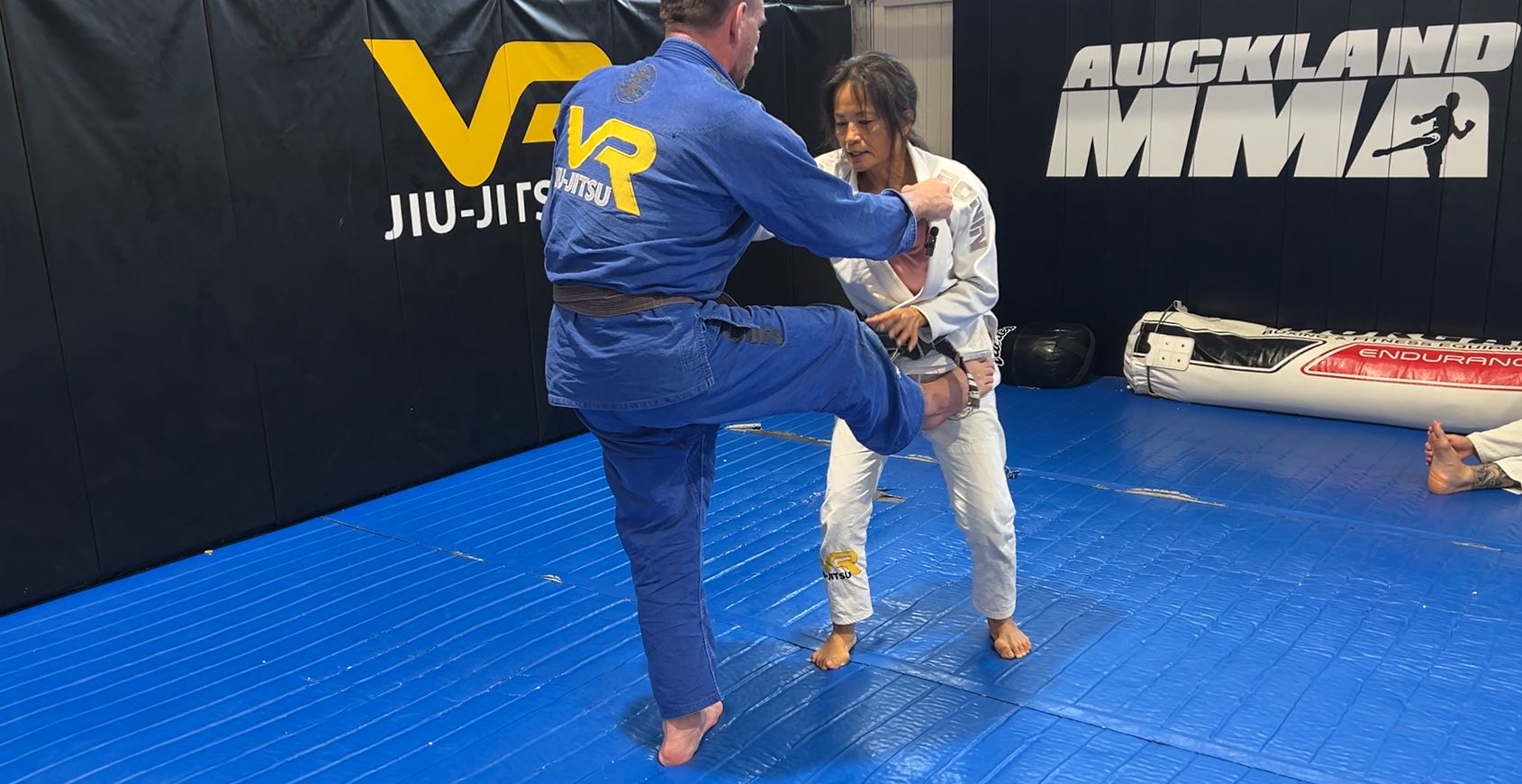 Counters to Guard Pulls that use foot on hip with collar and sleeve grips