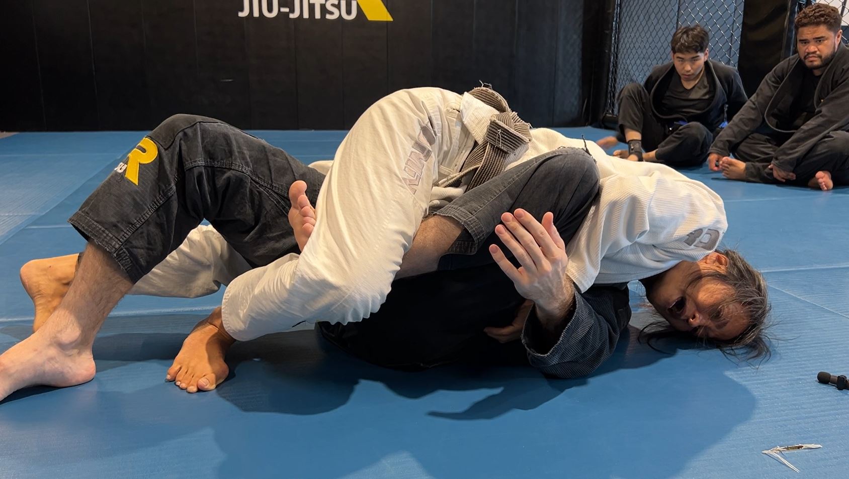 Passing the Kneeshield and Half Butterfly Guard