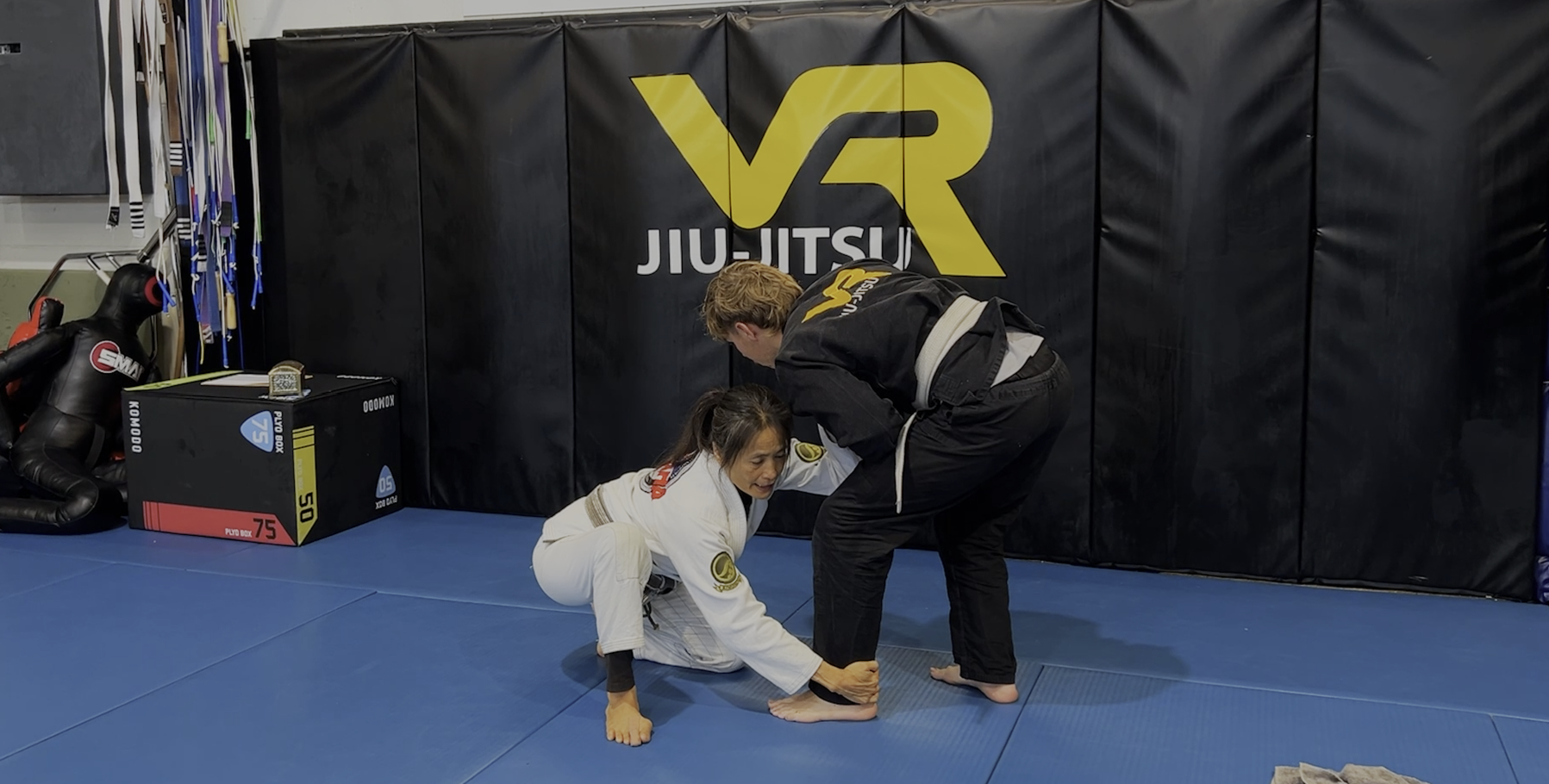 VR Jiu-Jitsu Online Video