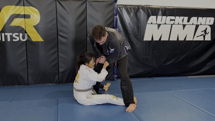 VR Jiu-Jitsu Online Video