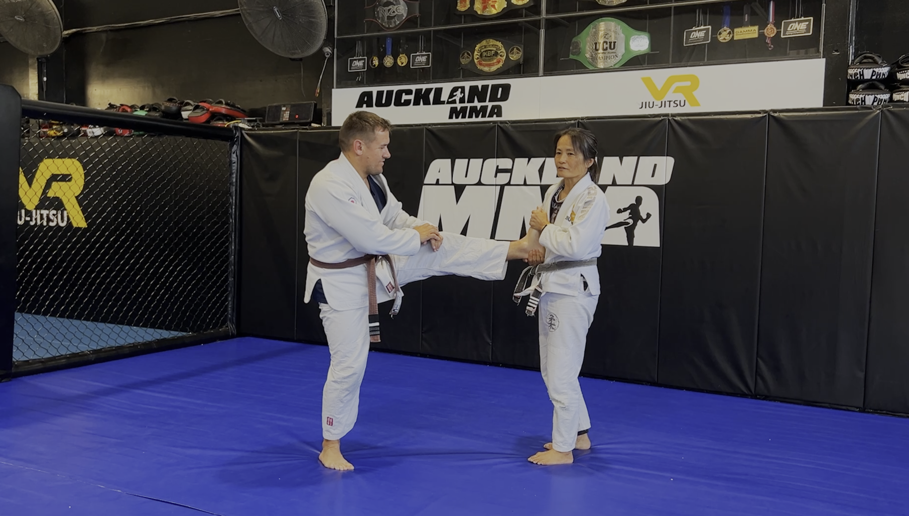 VR Jiu-Jitsu Online Video
