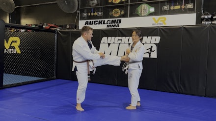 VR Jiu-Jitsu Online Video