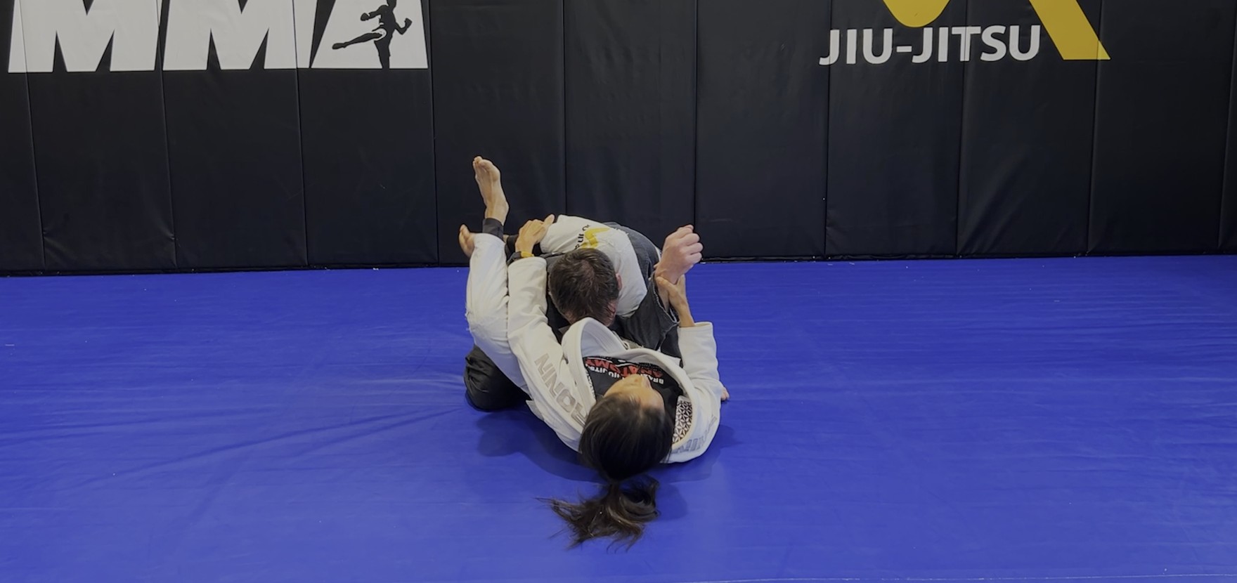 VR Jiu-Jitsu Online Video