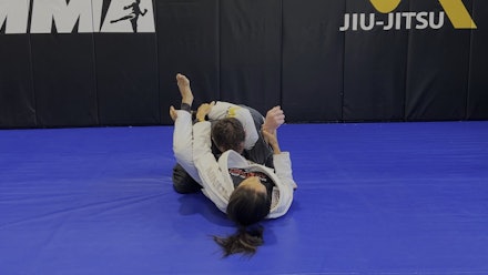 VR Jiu-Jitsu Online Video