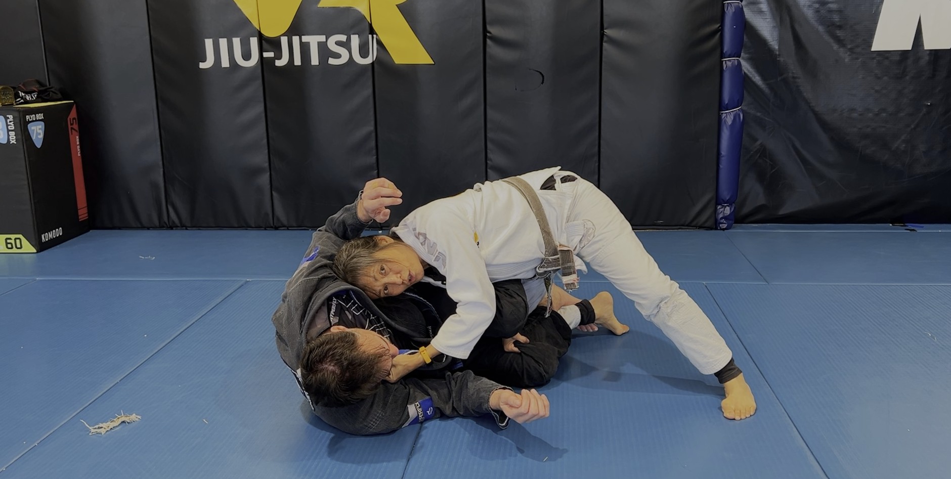 VR Jiu-Jitsu Online Video