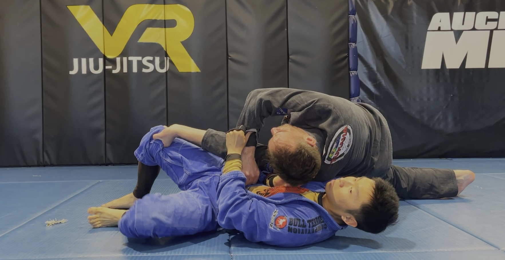 VR Jiu-Jitsu Online Video