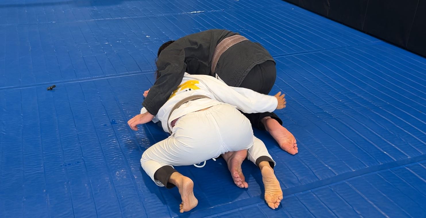 Underhook Sweep from Turtle bottom