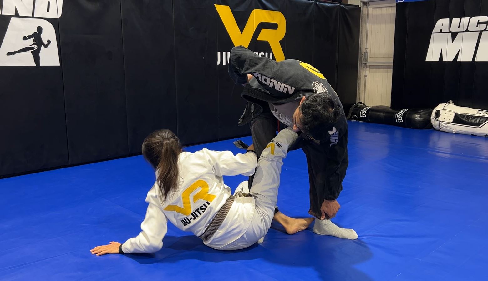 CLASS: Basics of Original Worm Guard (1-Jul-24)