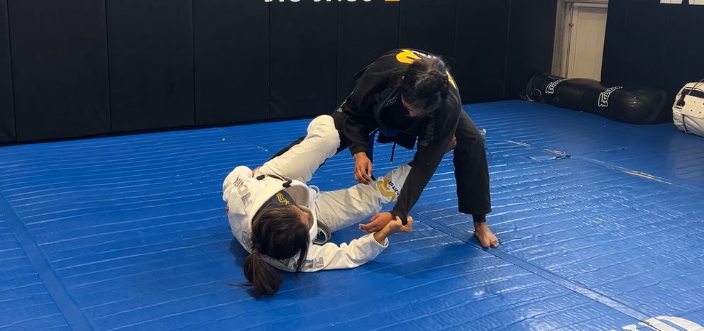 De La Riva Guard Recovery and Single Leg Sweep with far sleeve grip