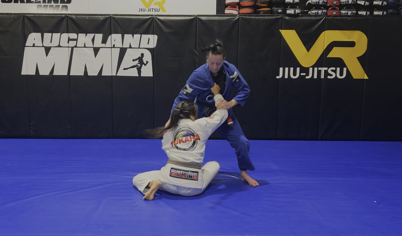 VR Jiu-Jitsu Online Video