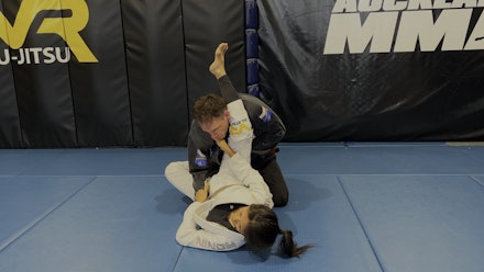 VR Jiu-Jitsu Online Video
