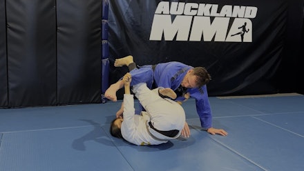 VR Jiu-Jitsu Online Video