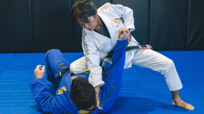 All VR Jiu Jitsu Instructionals