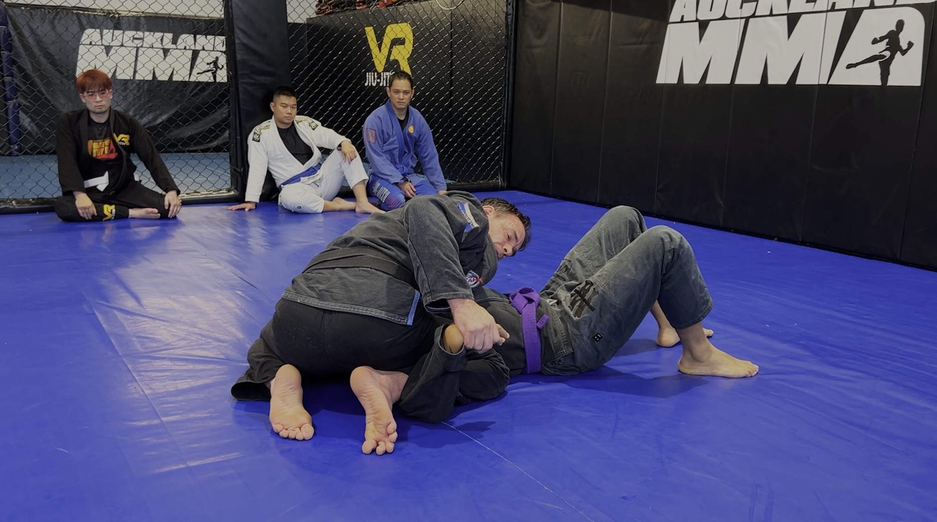 VR Jiu-Jitsu Online Video