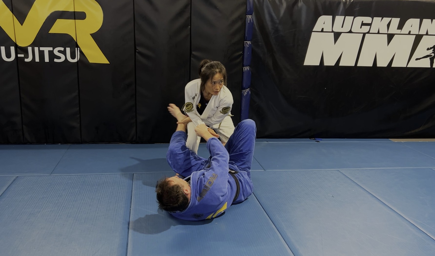 VR Jiu-Jitsu Online Video