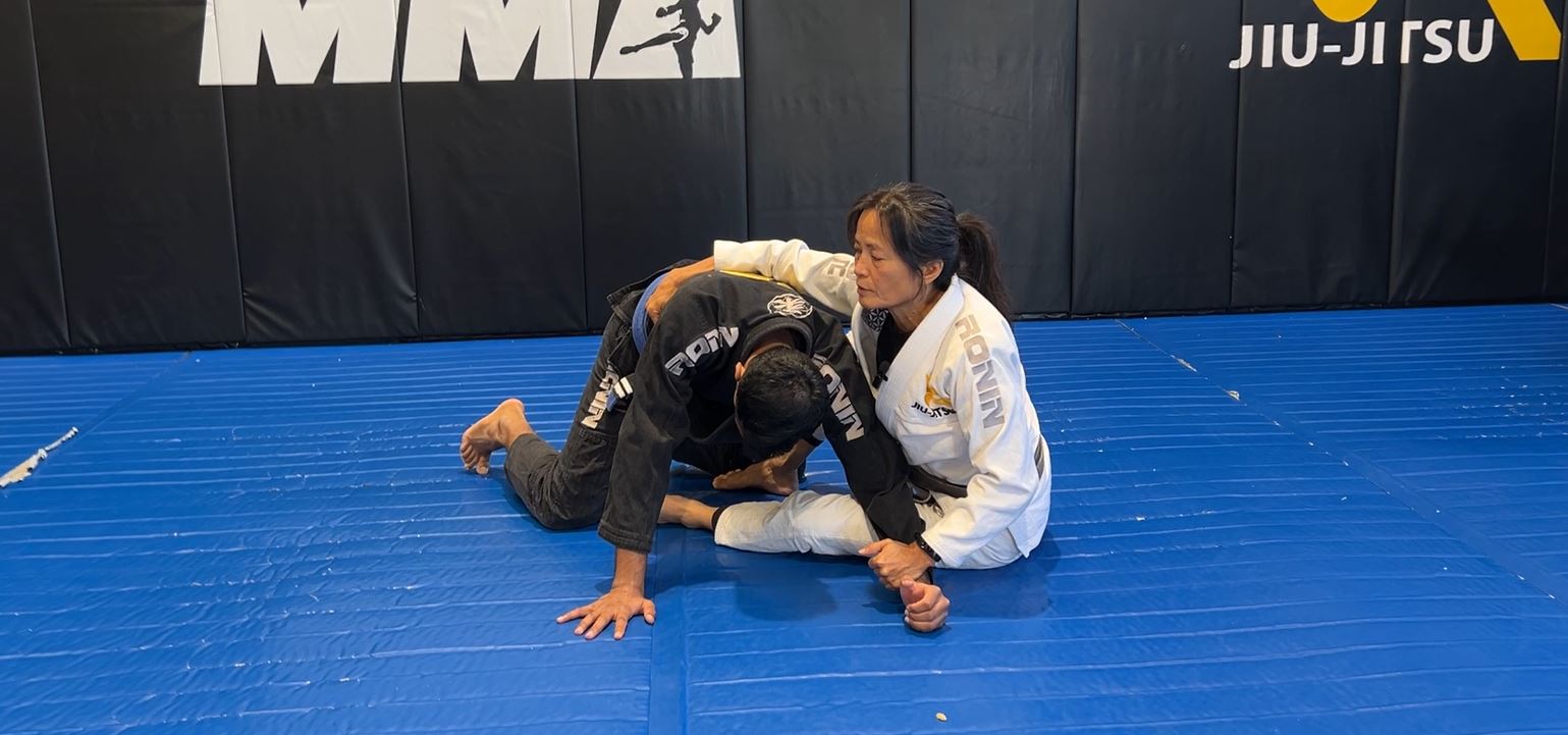 Butterfly Hook Sweep from cross-sleeve arm drag 