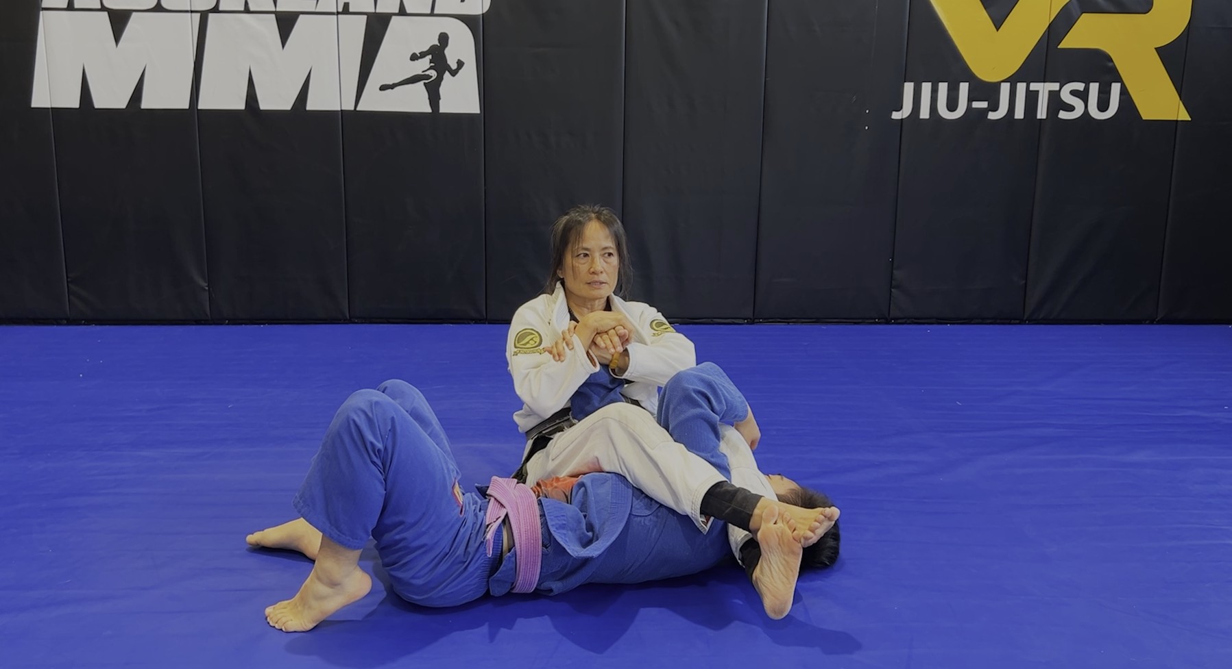 VR Jiu-Jitsu Online Video