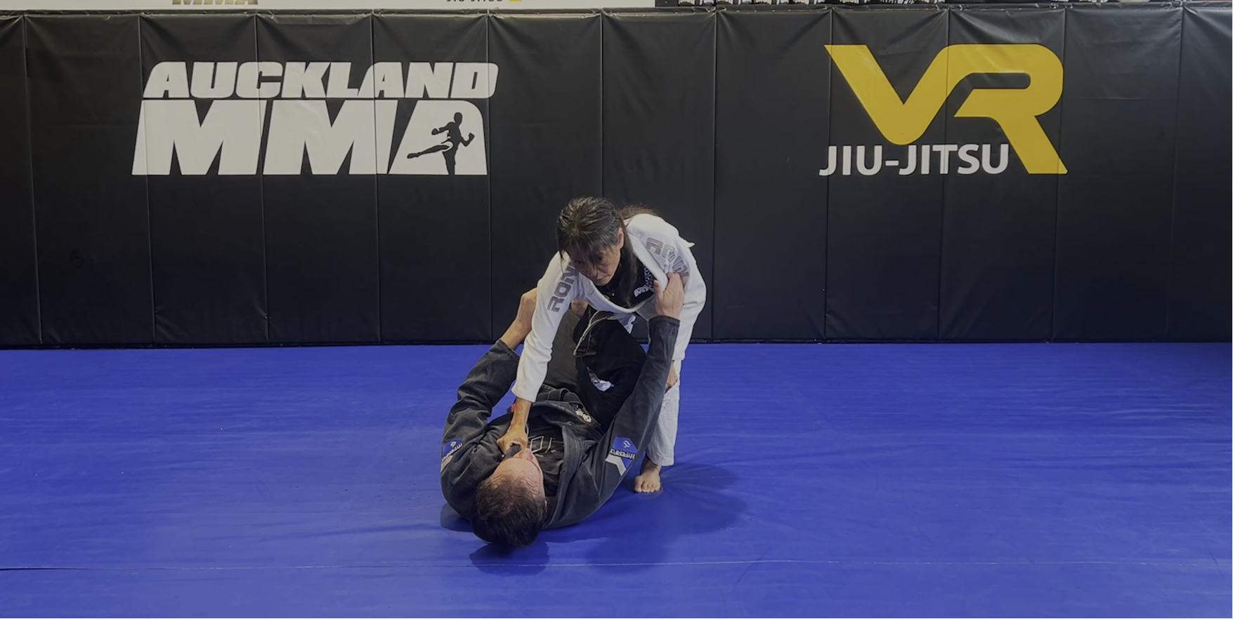 VR Jiu-Jitsu Online Video