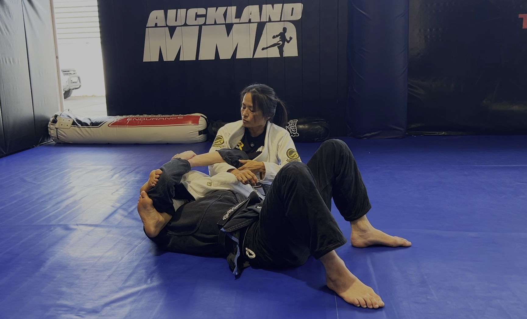 VR Jiu-Jitsu Online Video