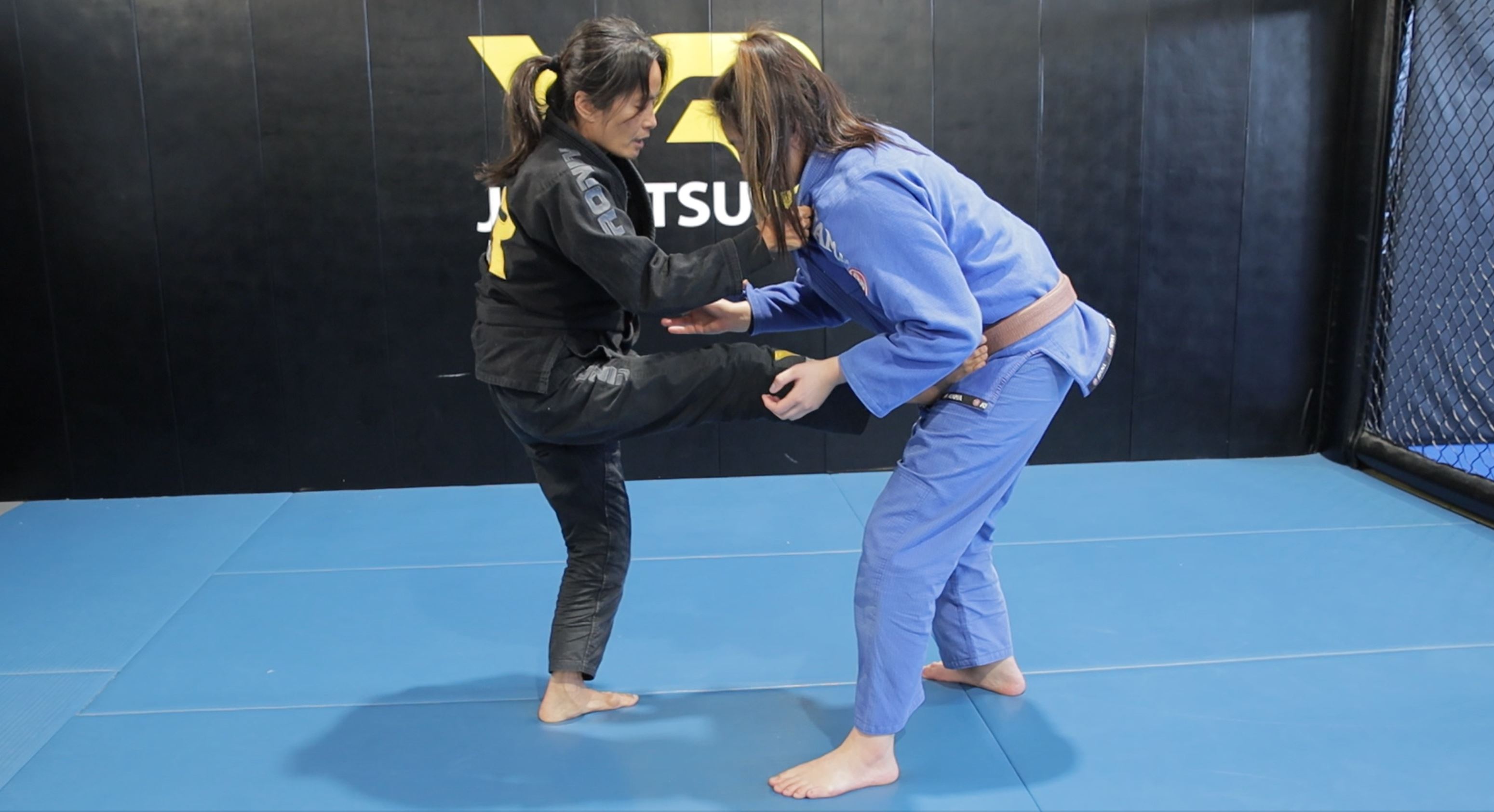 Pulling Closed Guard