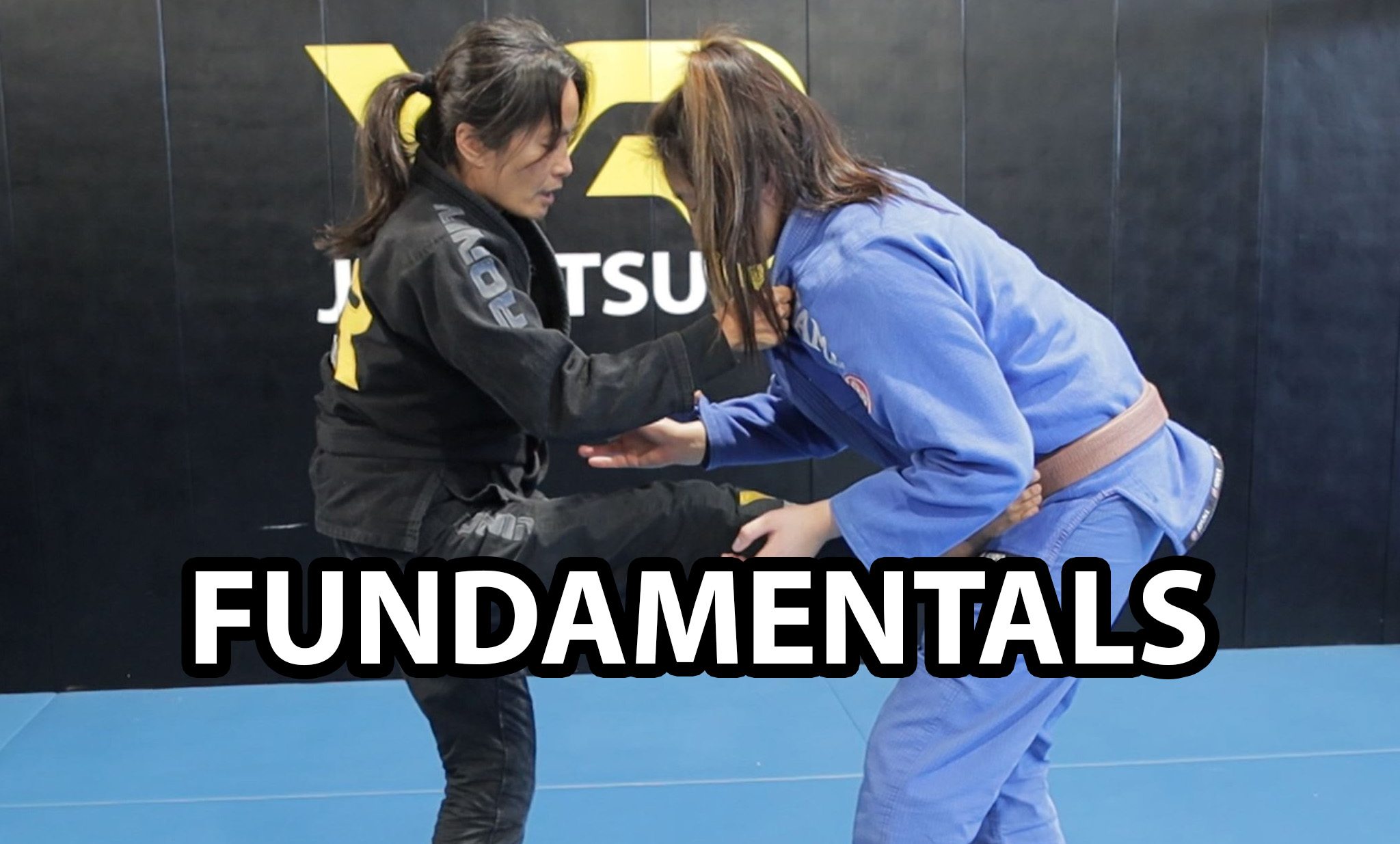 VR Jiu-Jitsu Fundamentals