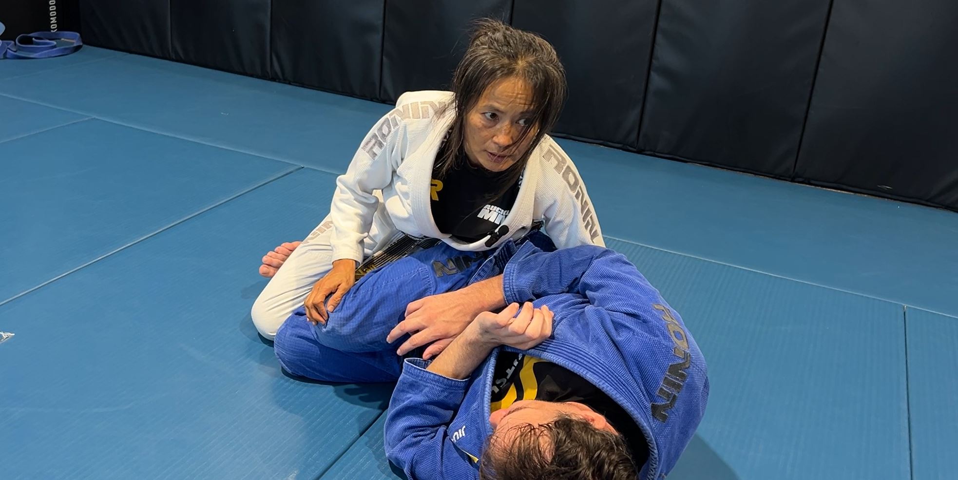 Pass Knee Shield Half Guard with Smash Pass