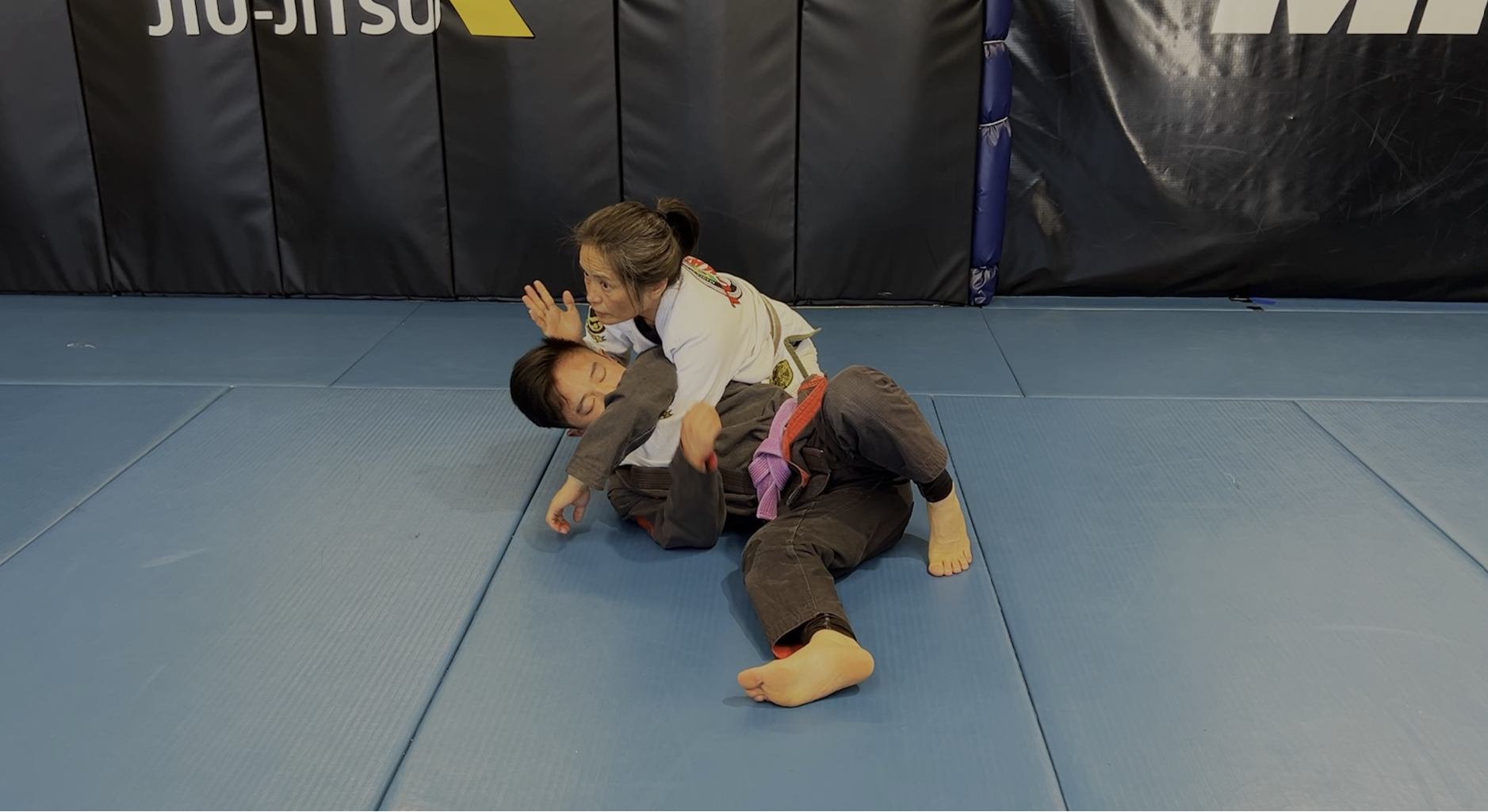 VR Jiu-Jitsu Online Video