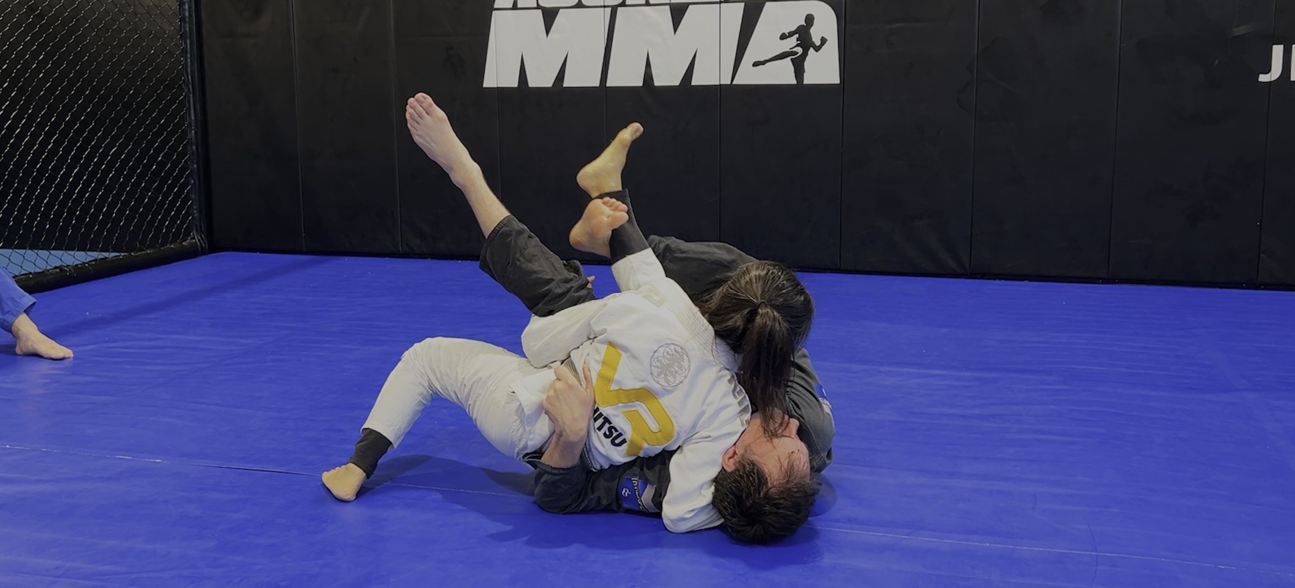 VR Jiu-Jitsu Online Video