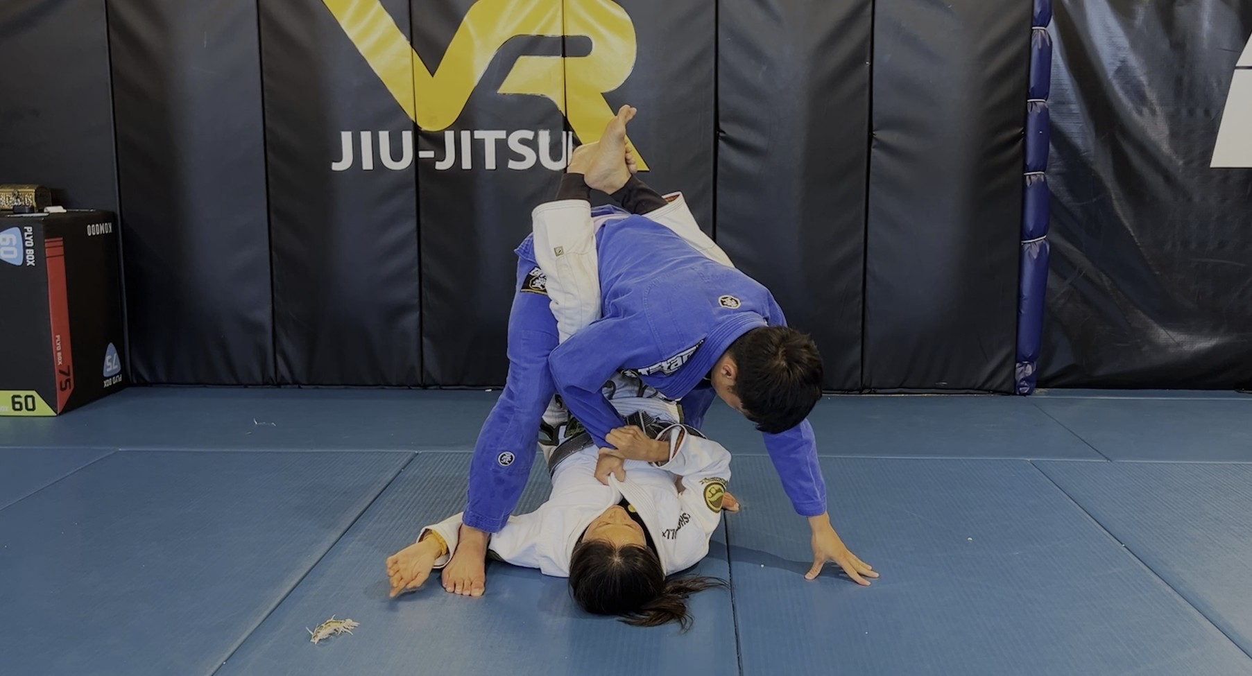 VR Jiu-Jitsu Online Video