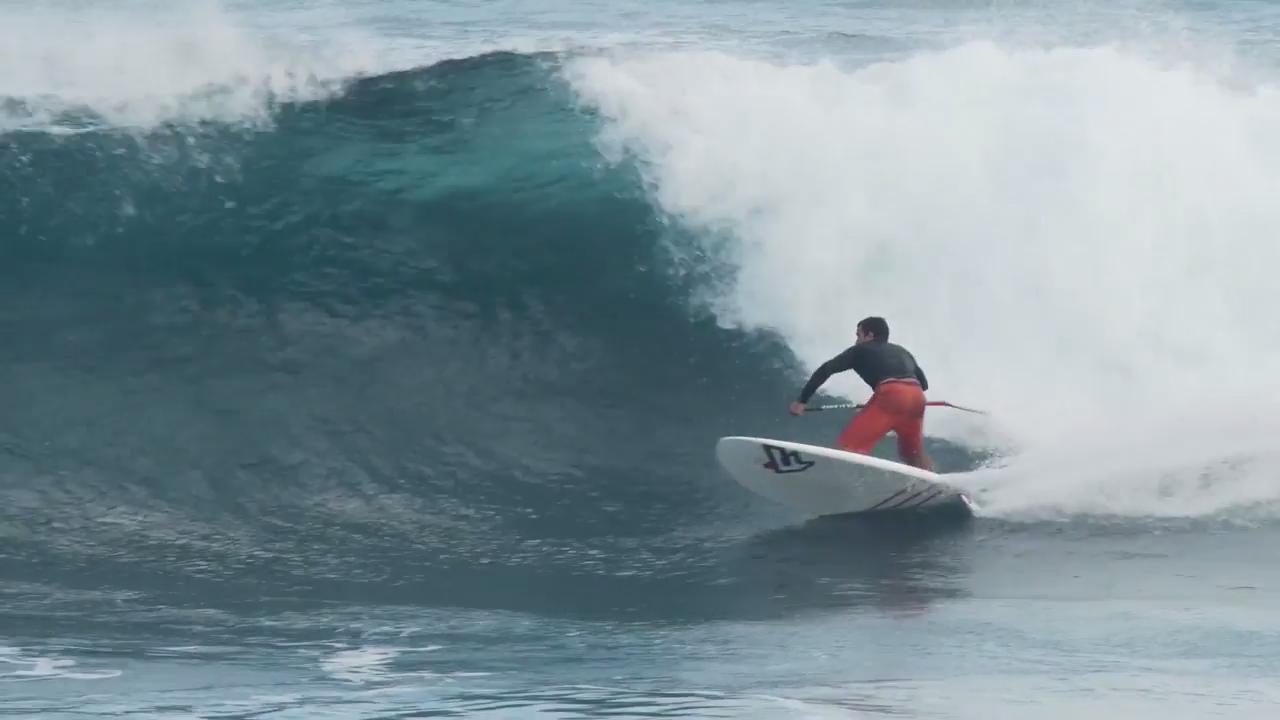 Fanatic SUP - Paddle Collection 2016