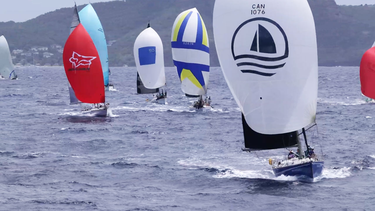 Antigua Sailing Week 2025 Highlights