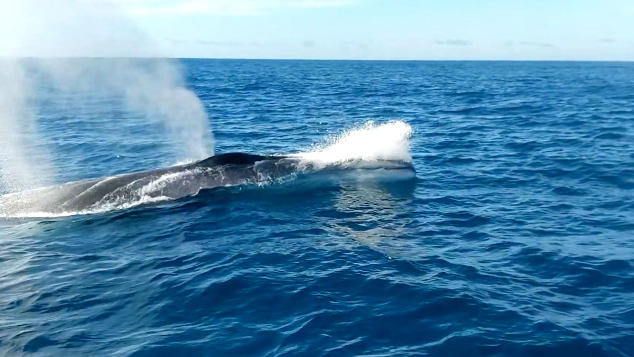 Vendée Globe 2020 - Day Forty Seven