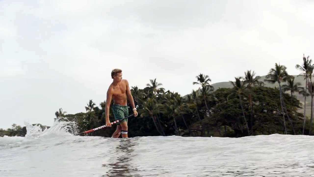 Fanatic's Stylemaster 2016 - Longboard surfboard