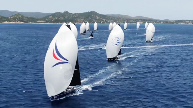 Swan Sardina Challenge 2022