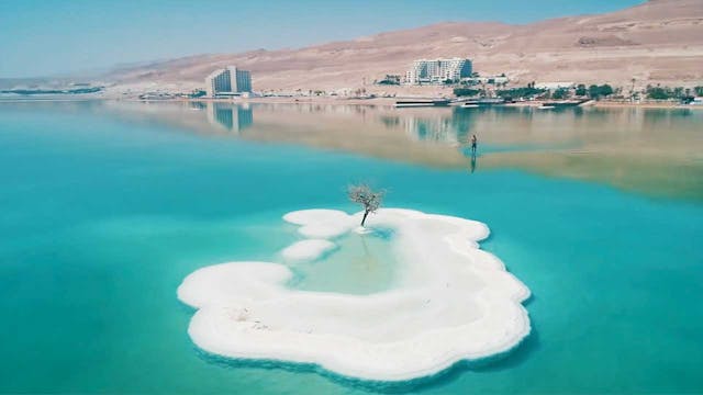 Foiling The Dead Sea
