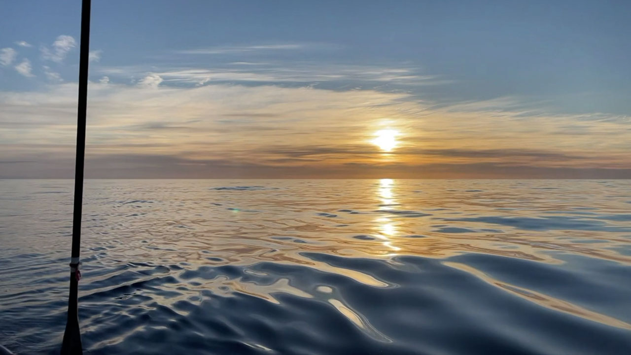Vendée Globe 2020 - Day Forty Six