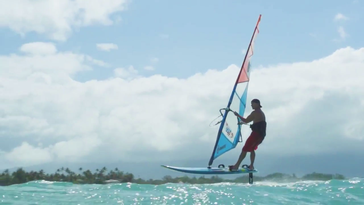 Meet the Gecko Foil Editions 2018