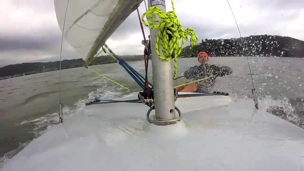 Extreme Starling Sailing