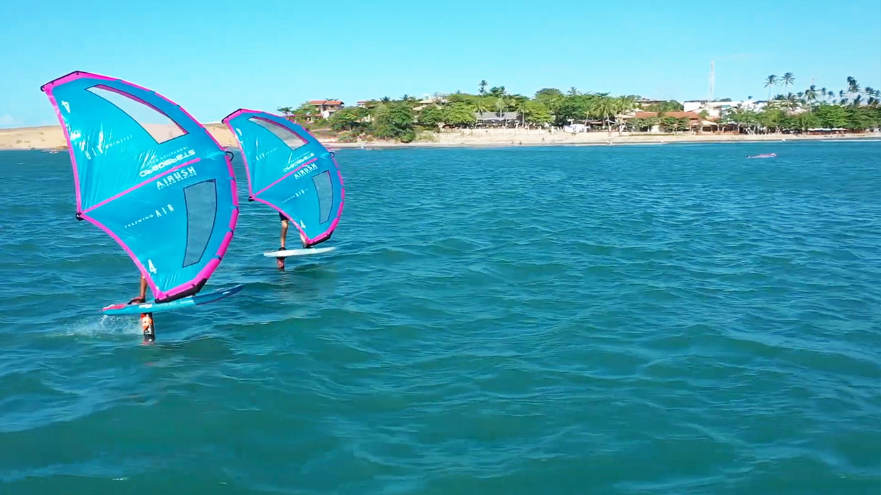 Lovely Holiday Freewing - Part 8