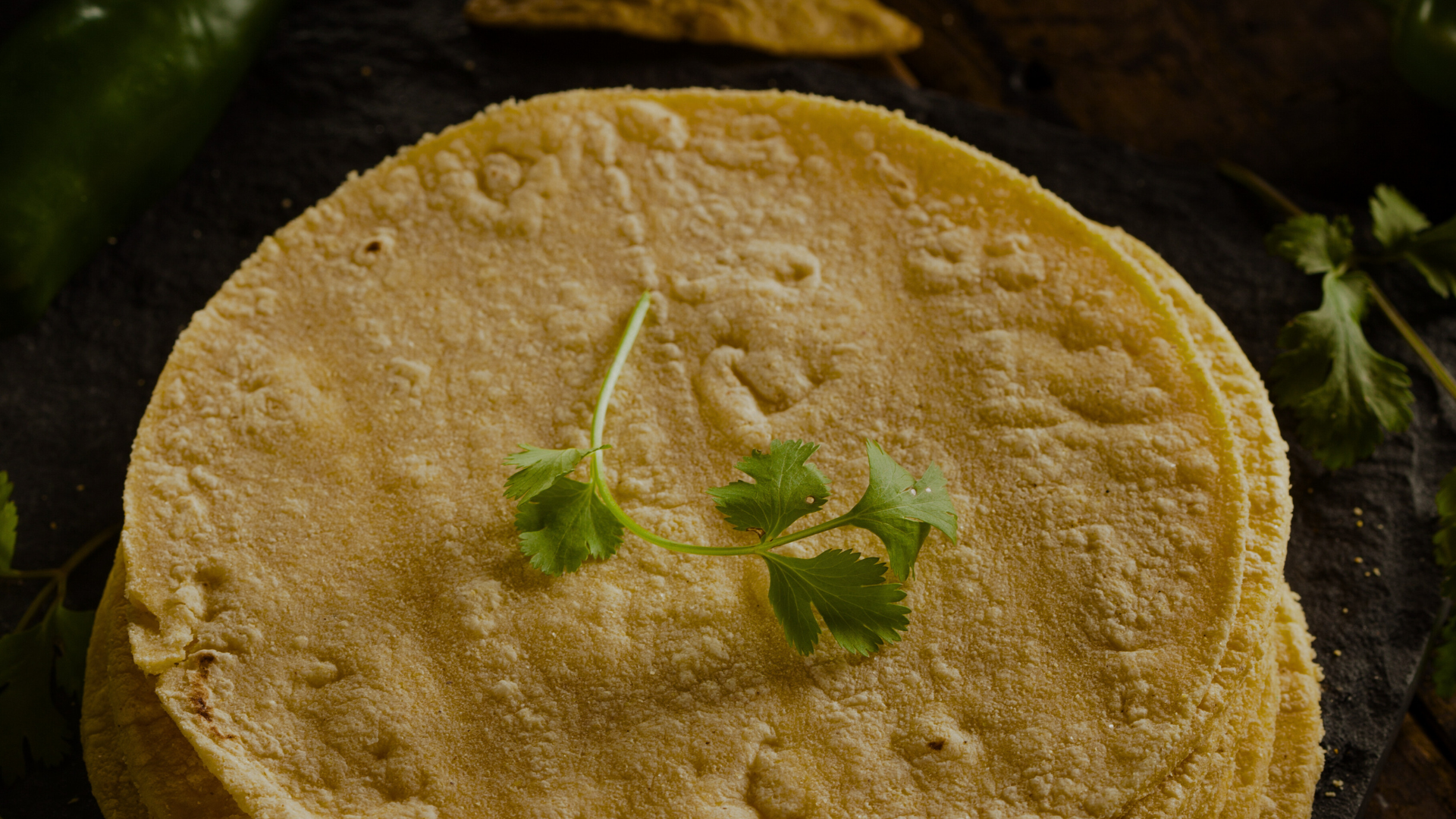 Corn Tortillas