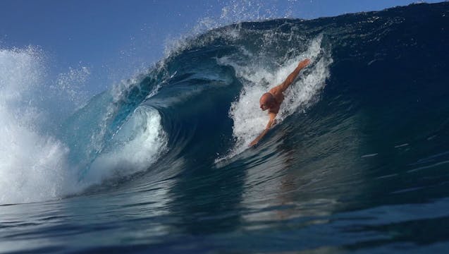 MIKE STEWART : BODYBOARD LEGEND