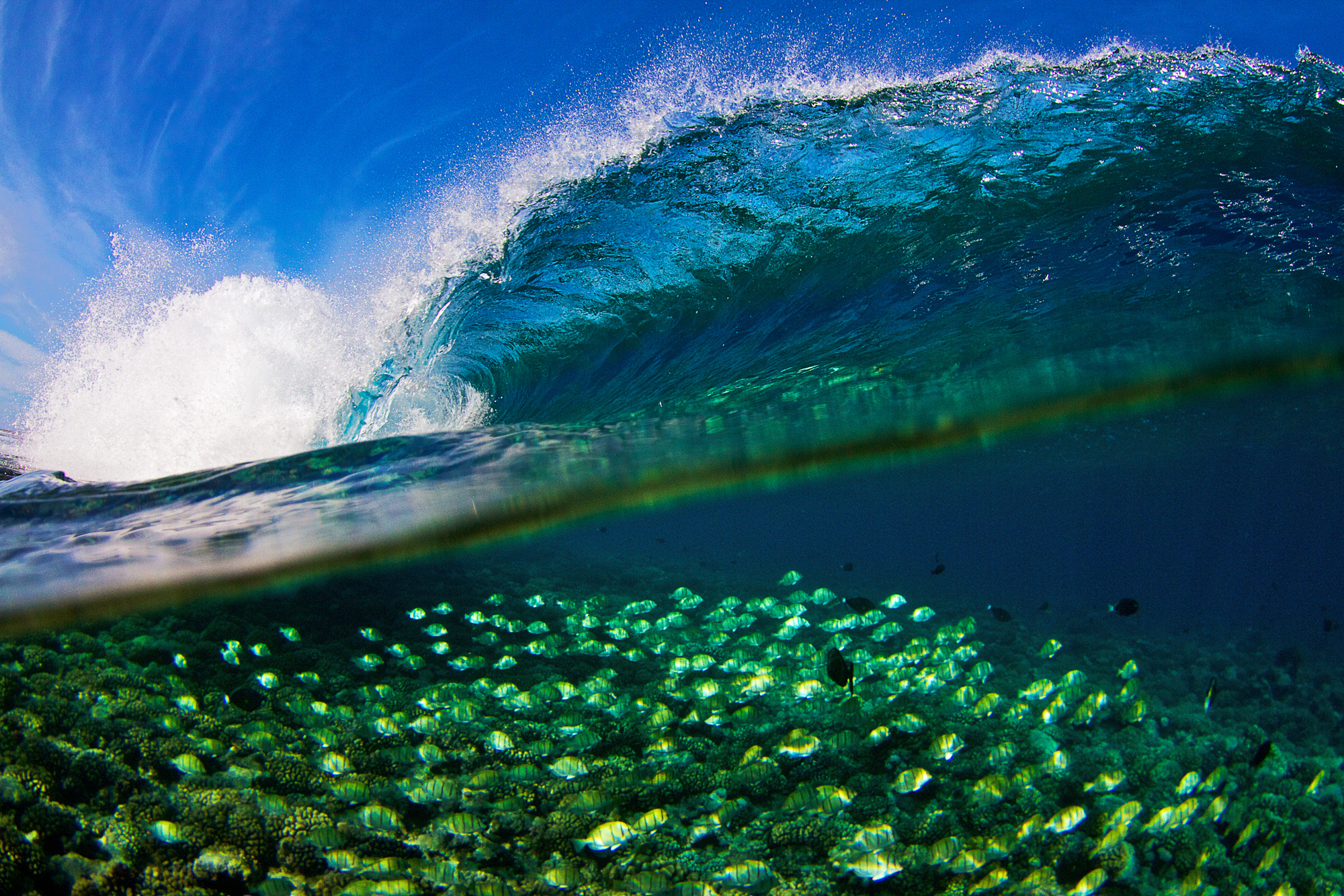 MAIKO MOU : DES VAGUES VUES DU CIEL