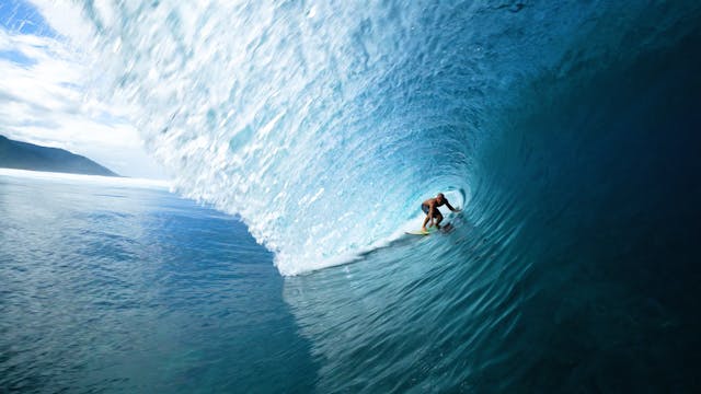 TAMARUA COWAN RIDER DE MAHINA