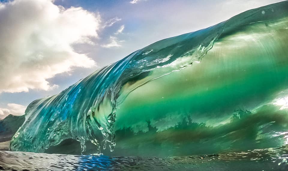 BOGUS : L'OEIL DANS LA VAGUE