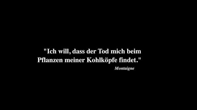 WIR WERDEN ALLE STERBEN! (2024)