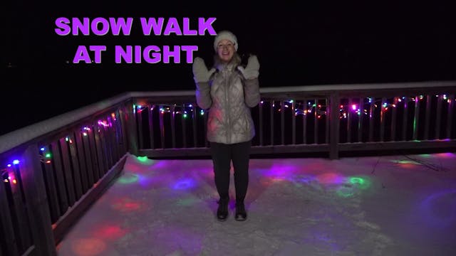 Snow Walk at Night