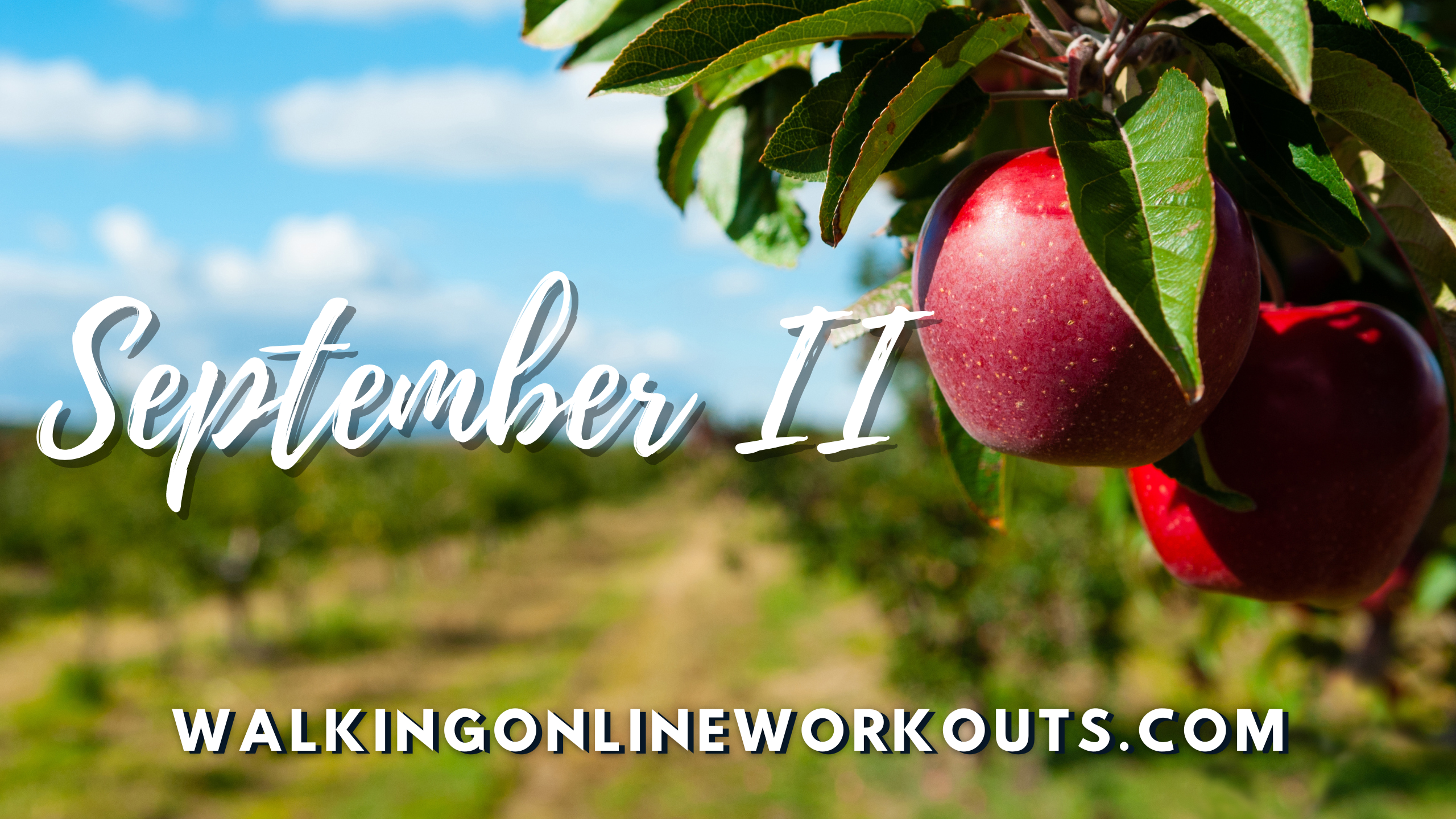 Walking Online Workouts Video