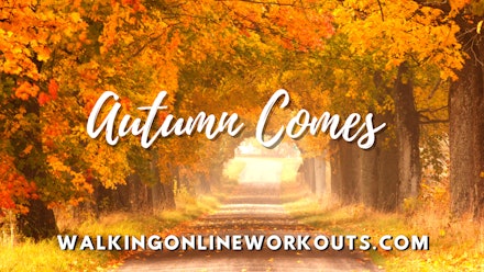 Walking Online Workouts Video